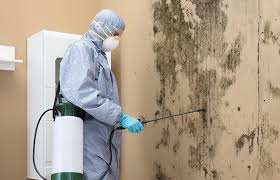 Best Biohazard Mold Removal  in Rainbow Lakes Estates, FL